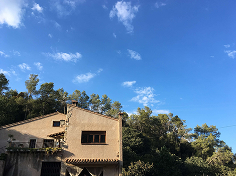 Lubagos, centre de cria i selecció canina Lubagos, centre de cria i selecció canina